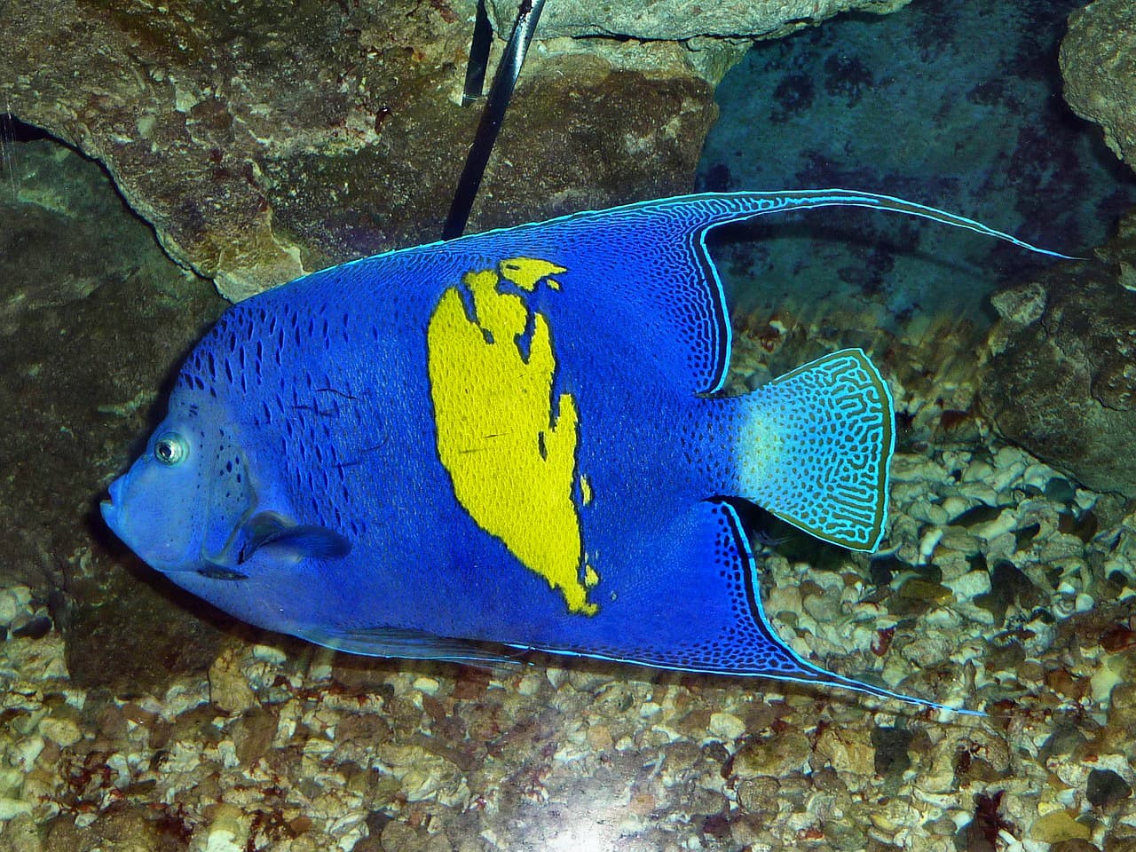 Diving in Hurghada