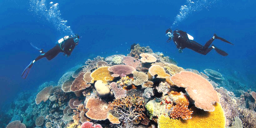 Sharm Elsheikh Diving