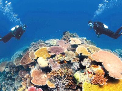 buceo sharm el sheikh